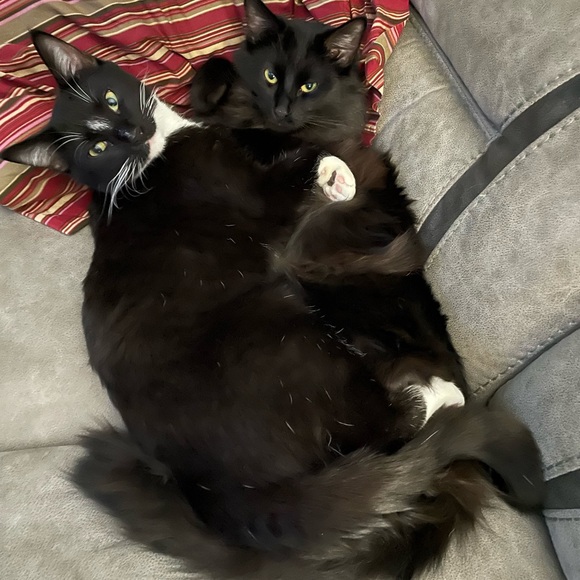 Meet your Posher, Cathy - Picture 9 of 9